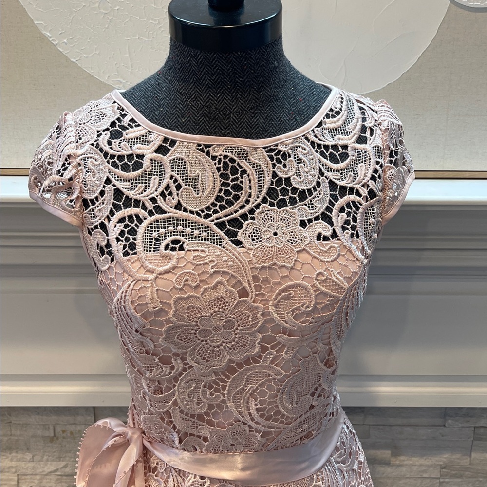 Adrianna Papell Lace Cap-Sleeve Illusion Sheath Dress Size 4 - Picture 4 of 8